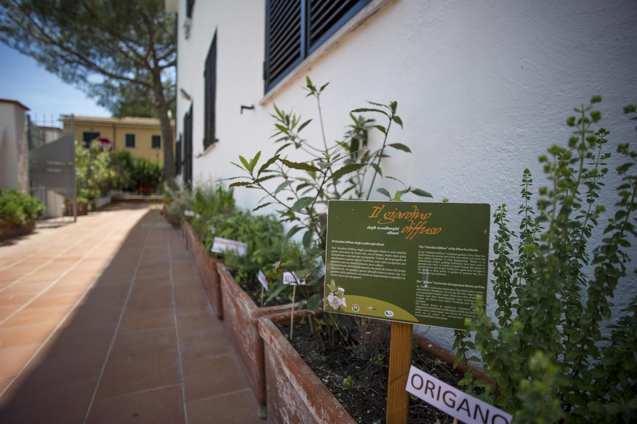 Hotel Punto Verde Marina di Campo Exterior photo